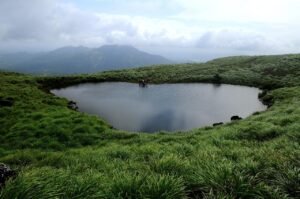 wayanad, kerala, landscape, green, water, nature, grass